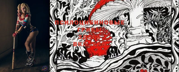 хмурый Кукмор