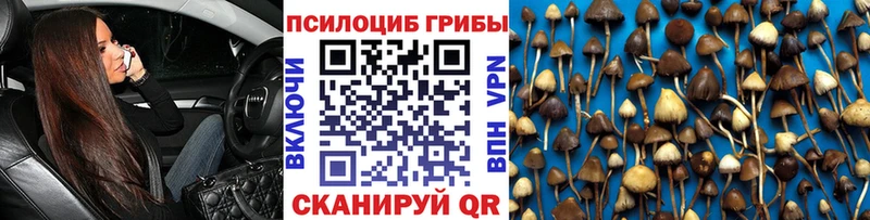 Купить  Волосово  Псилоцибиновые грибы Cubensis 
