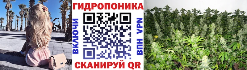 МАРИХУАНА план  Купить закладки  Волосово 